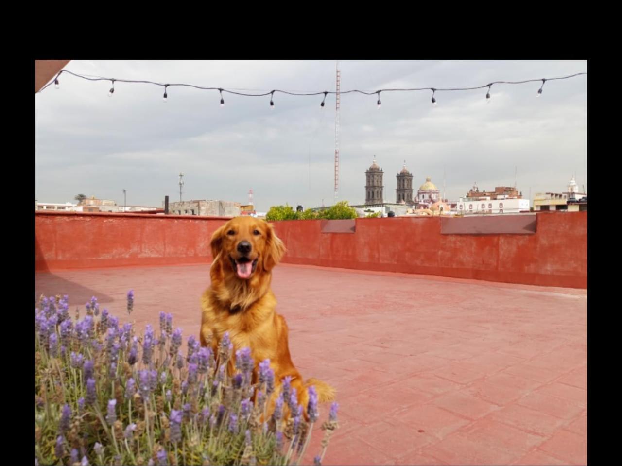 Rincón Poblano Heroica Puebla de Zaragoza